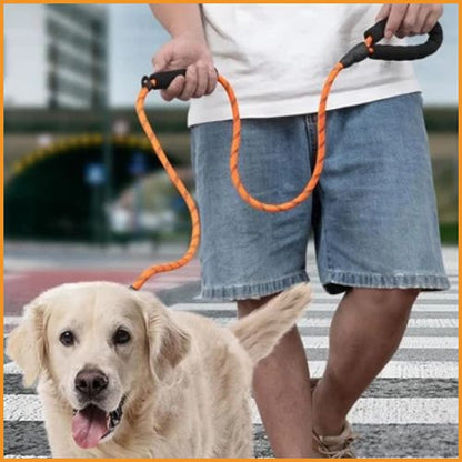 laisse-lasso_chien-ajustable-pour-promenades-et-dressage-orange