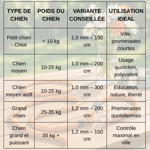 laisse-lasso-chien-ajustable-pour-promenades-et-dressage-tableau