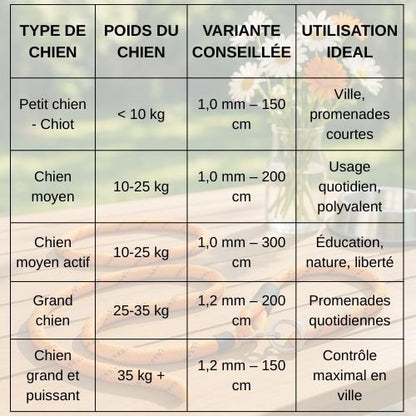 laisse-lasso-chien-ajustable-pour-promenades-et-dressage-tableau