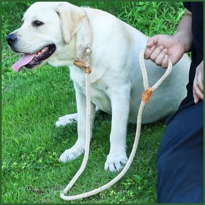 laisse-lasso-forte-traction-pour-chiens-puissants-beige