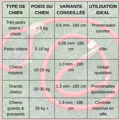laisse-lasso-forte-traction-pour-chiens-puissants-confort