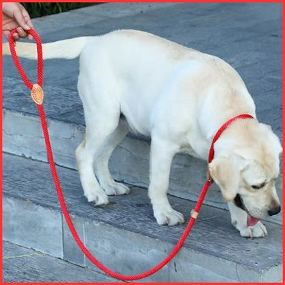 laisse-lasso-forte-traction-pour-chiens-puissants-rouge-labrador