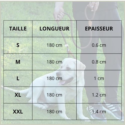 Laisse lasso pour chien | EasyLeash™