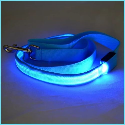 laisse-pour-chien-avec-lumière-LED-bleu-turquoise
