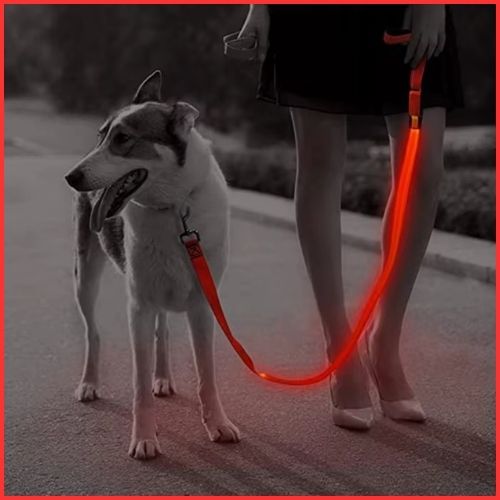 laisse-pour-chien-avec-lumière-LED-rouge-sortie