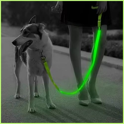 laisse-pour-chien-avec-lumière-LED-vert-sortie