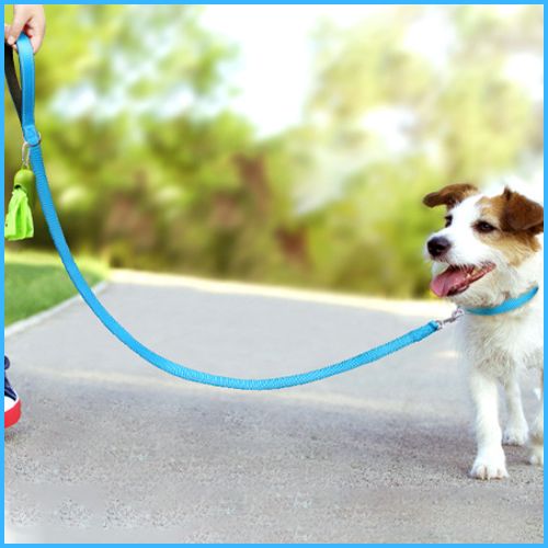 laisse-pour-chien_nylon-résistant-et-couture-réfléchissante-bleu