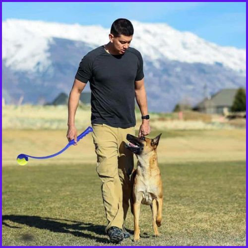 lanceur-de-balle-pour_chien-à-la-main-bleu