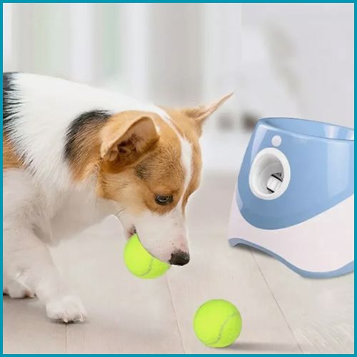 lanceur-de-balle-pour-chien-bleu