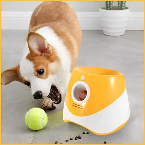 lanceur-de-balle-pour-chien_orange