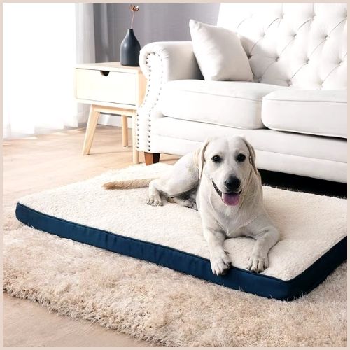 lit-chien_réversible-en-mémoire-de-forme-blanc