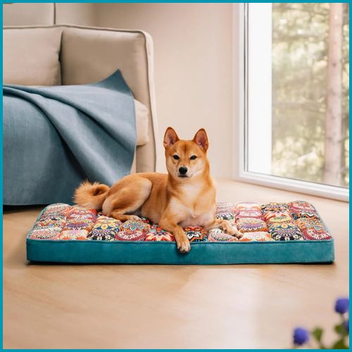 Lit_pour_chien-orthopédique-vert