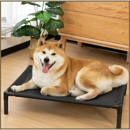 lit-pour-chien-surélevé-en-tissu-respirant-noir