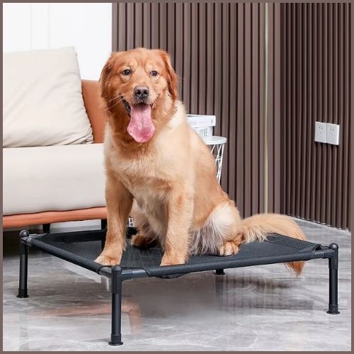 lit-pour-chien-surélevé-en-tissu-respirant-labrador