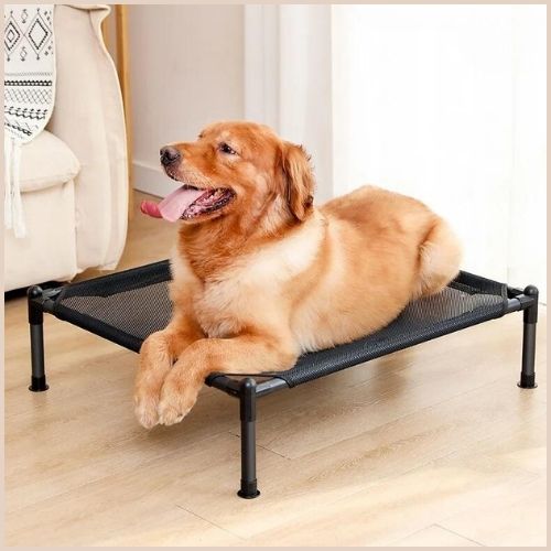 lit-pour-chien-surélevé-en-tissu-respirant-marron