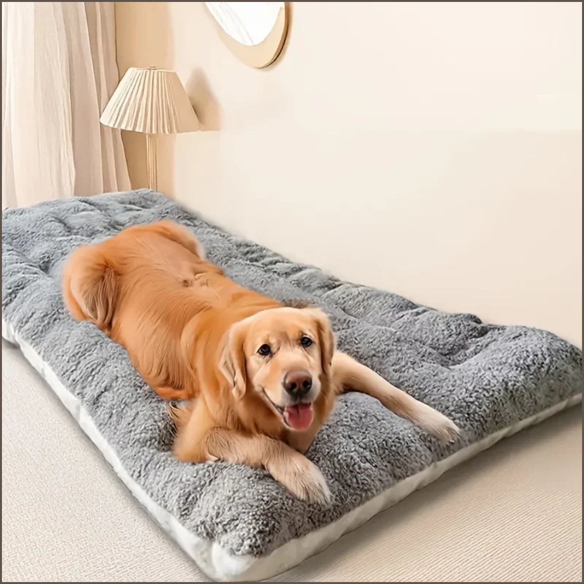 lit-pour-chien-xxl-moelleux-et-confortable-pour-toutes-races-labrador