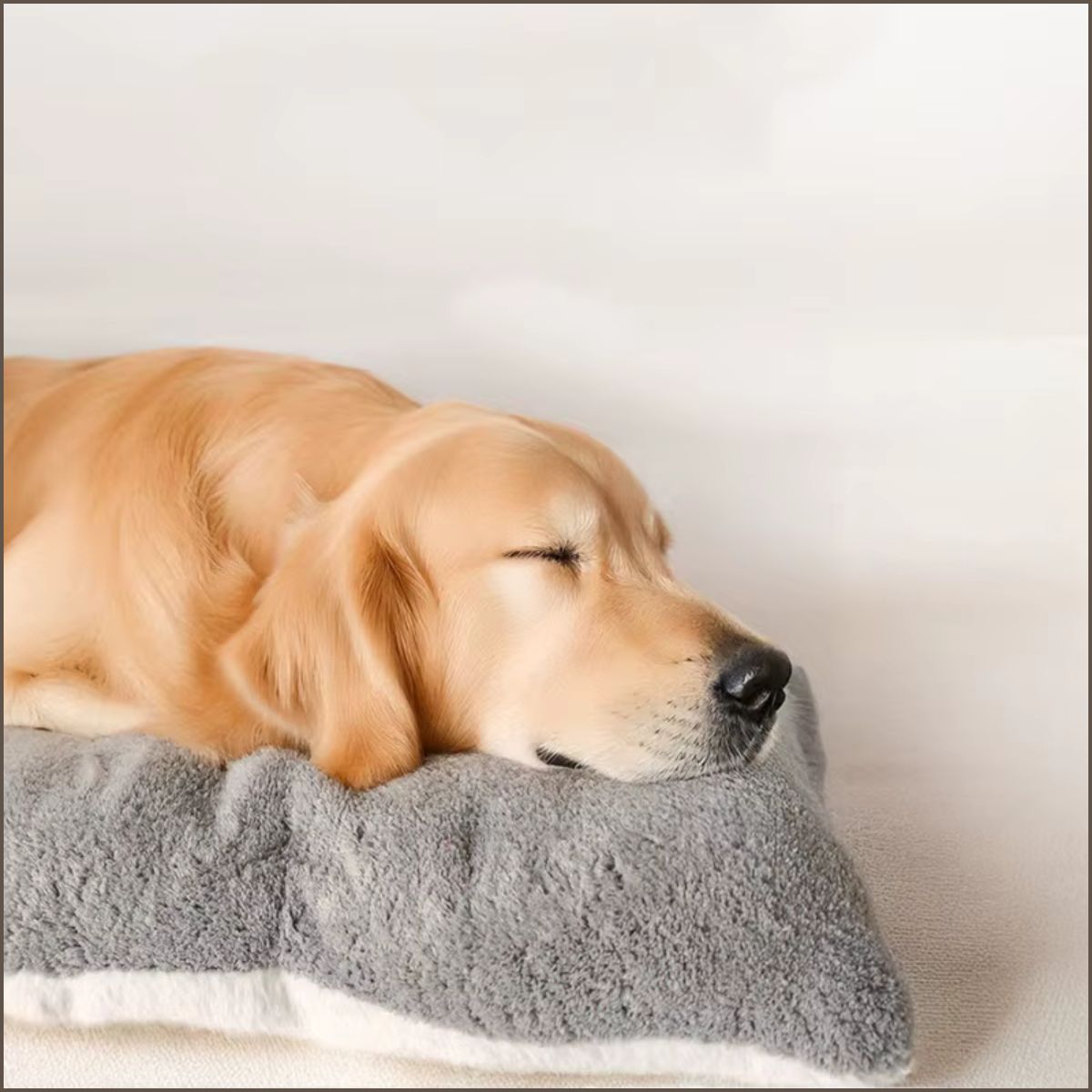 lit-pour-chien-xxl-moelleux-et-confortable-pour-toutes-races-doux
