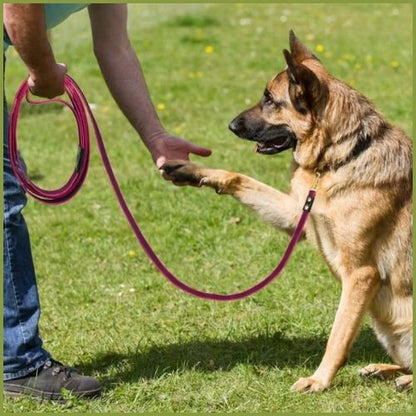 longe-chien-5-m-rappel-et-entraînement-rose-noir