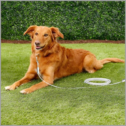 longe-chien_15-m-câble-acier-inox-anti-traction-attache