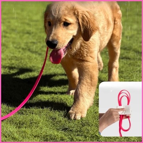 longe-chien_Biothane-résistante-et-imperméable-rose