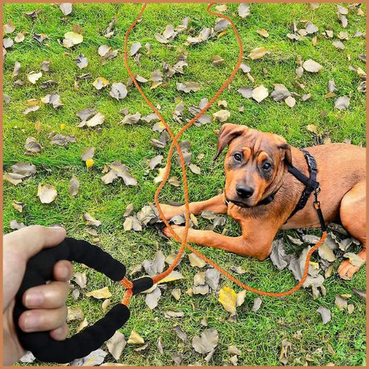 longe-pour-chien-20-m-grande-taille-entraînement-extérieur-orange