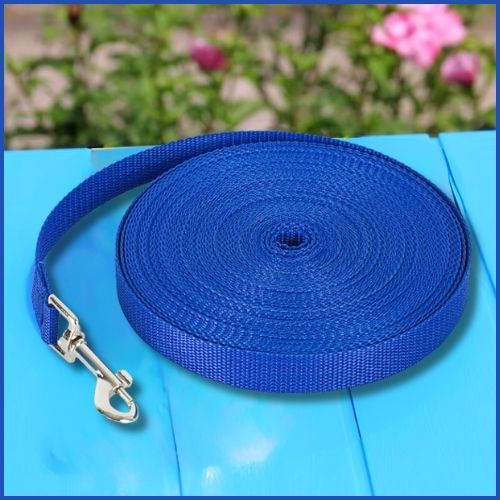 longe-pour-chien-50-m-bleu