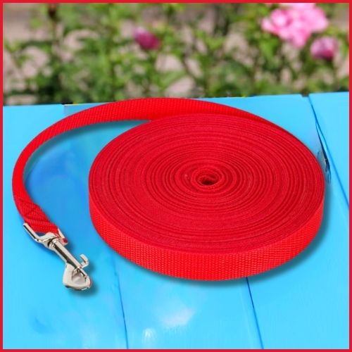 longe-pour-chien-50-m-rouge