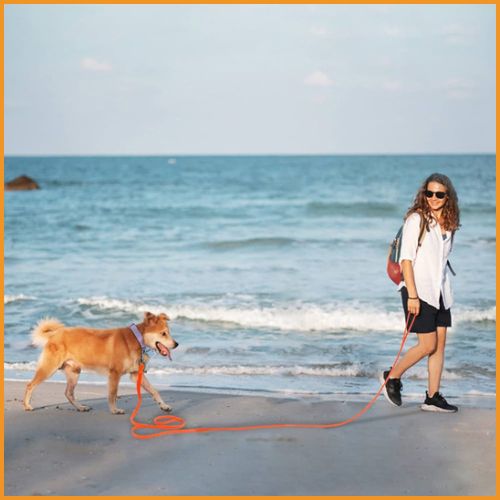 longe-pour-chien_biothane-15-M-résistante-à-la-traction-mer