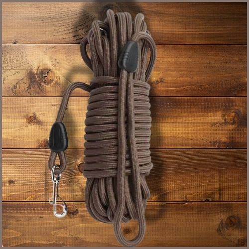 longes-chien_15-m-marron_fonce
