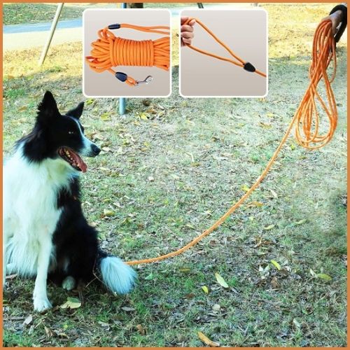 longes-chien_15-m-orange-parc