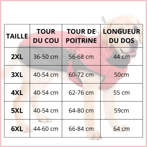 manteau-chien-hiver-imperméable-taille