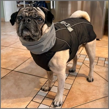 manteau-chien-hiver-noir-gris