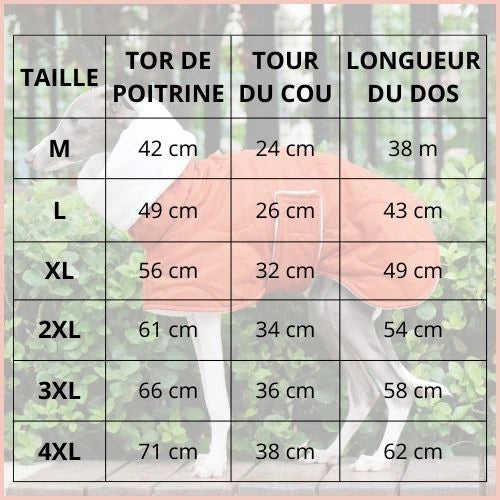 manteau-chien-hiver-pour-lévrier-cou