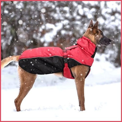manteau-chien-hiver_imperméable-rouge