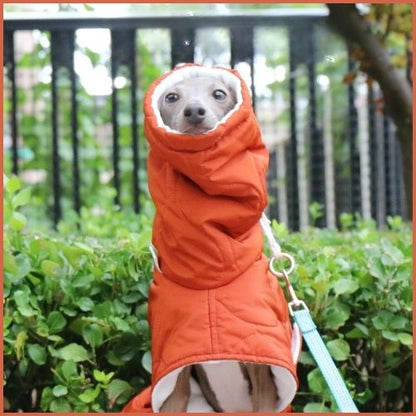 manteau-chien-hiver_pour-lévrier-col-orange