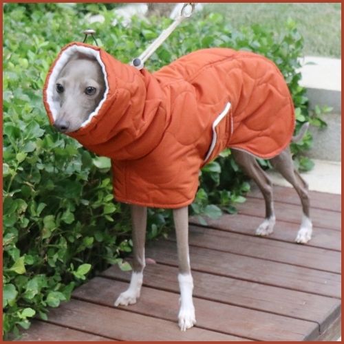 manteau-chien-hiver_pour-lévrier-velcro