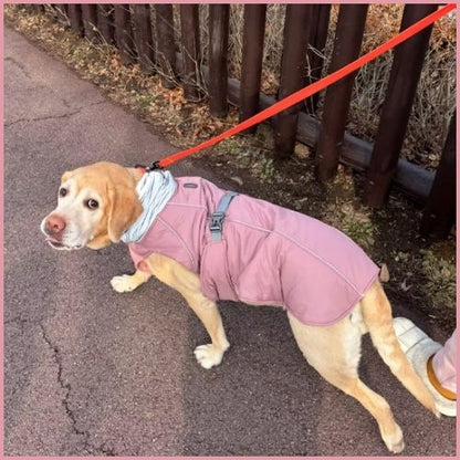 manteau-chien-hiver_rose
