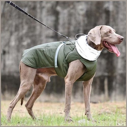 manteau-chien-hiver_vert