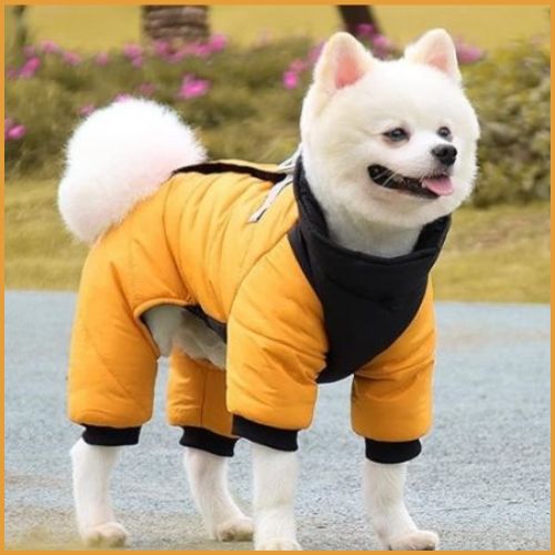 manteau-chien-salopette-avec-harnais-intégrée-jaune