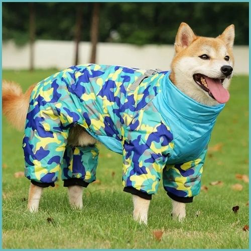 manteau-imperméable-pour-chien-turquoise