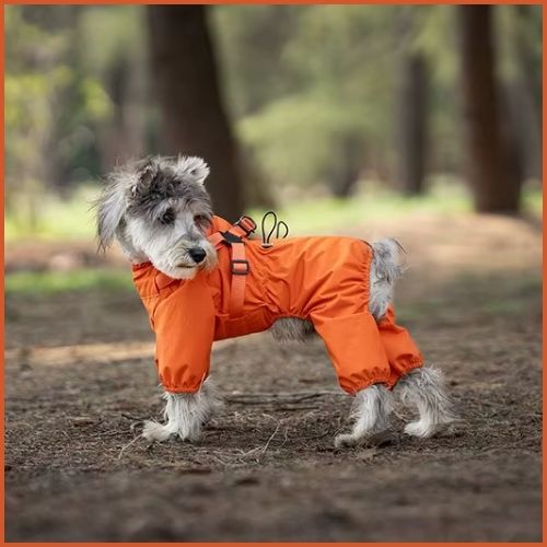 manteau-imperméable-pour-chien_avec-harnais-intégré-orange