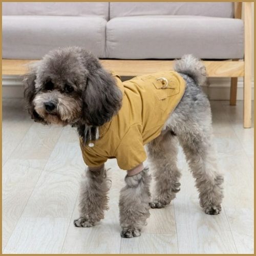 manteau-pour-chien-avec -capuche-beige
