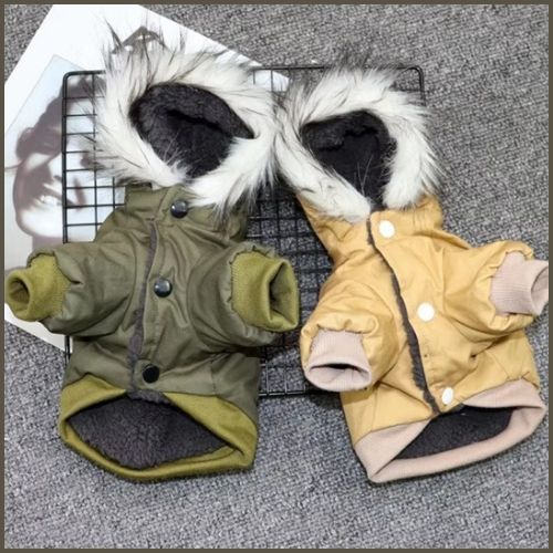 manteau-pour-chien_avec-capuche-duo