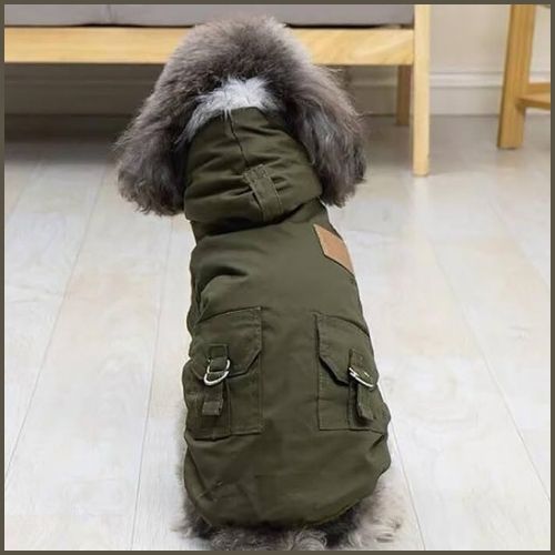 manteau-pour-chien_avec-capuche-vert-gris