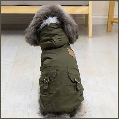 manteau-pour-chien_avec-capuche-vert-gris