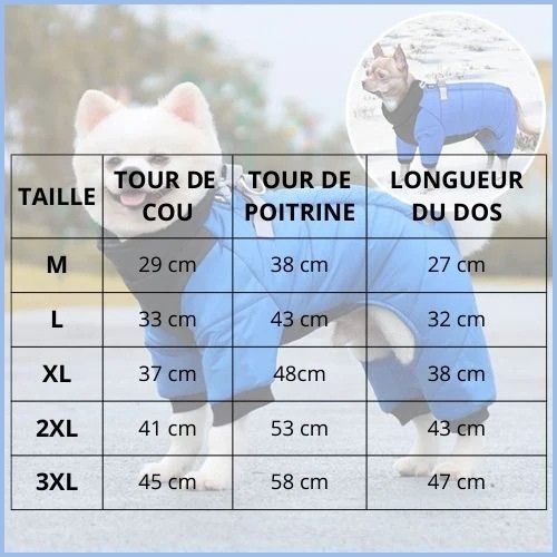 manteau_chien-salopette-avec-harnais-intégrée-tailles