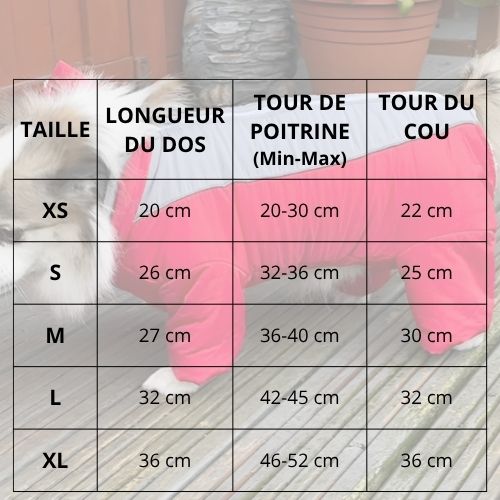 manteauchien_tailles