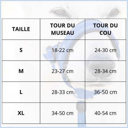 muselière-chien_anti-morsure-réglable-et-confortable