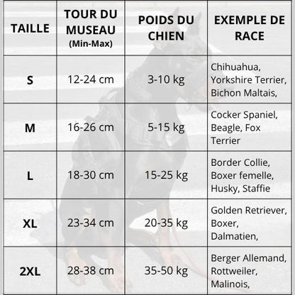 museliére-pour-chien-sangle-tableau