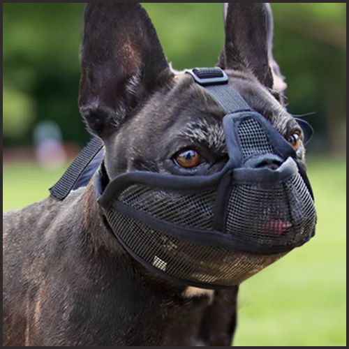 Muselière-chien-à-museau-court-réglable-noir